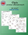 Opis przeżyć.jpg