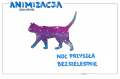 animizacja1.png